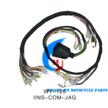 Motorcycle Parts Wire Harness for Motorcycle WY125